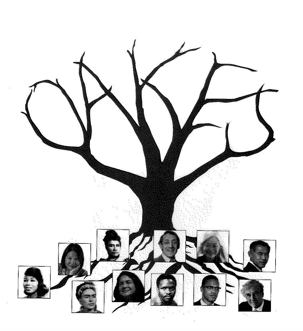 Oakes tree logo